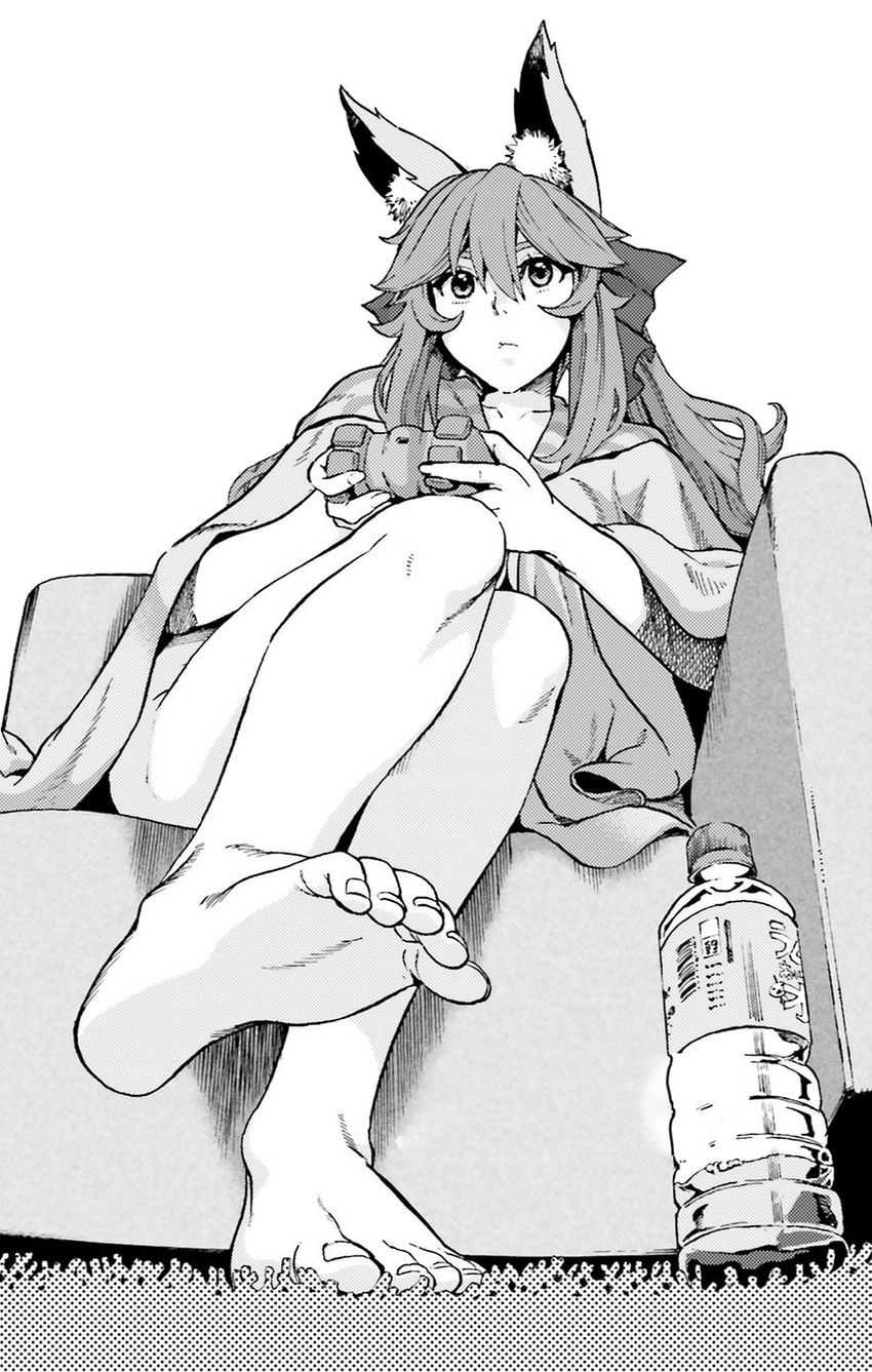 tamamo and tamamo no mae (fate and 2 more) drawn by takenoko_seijin