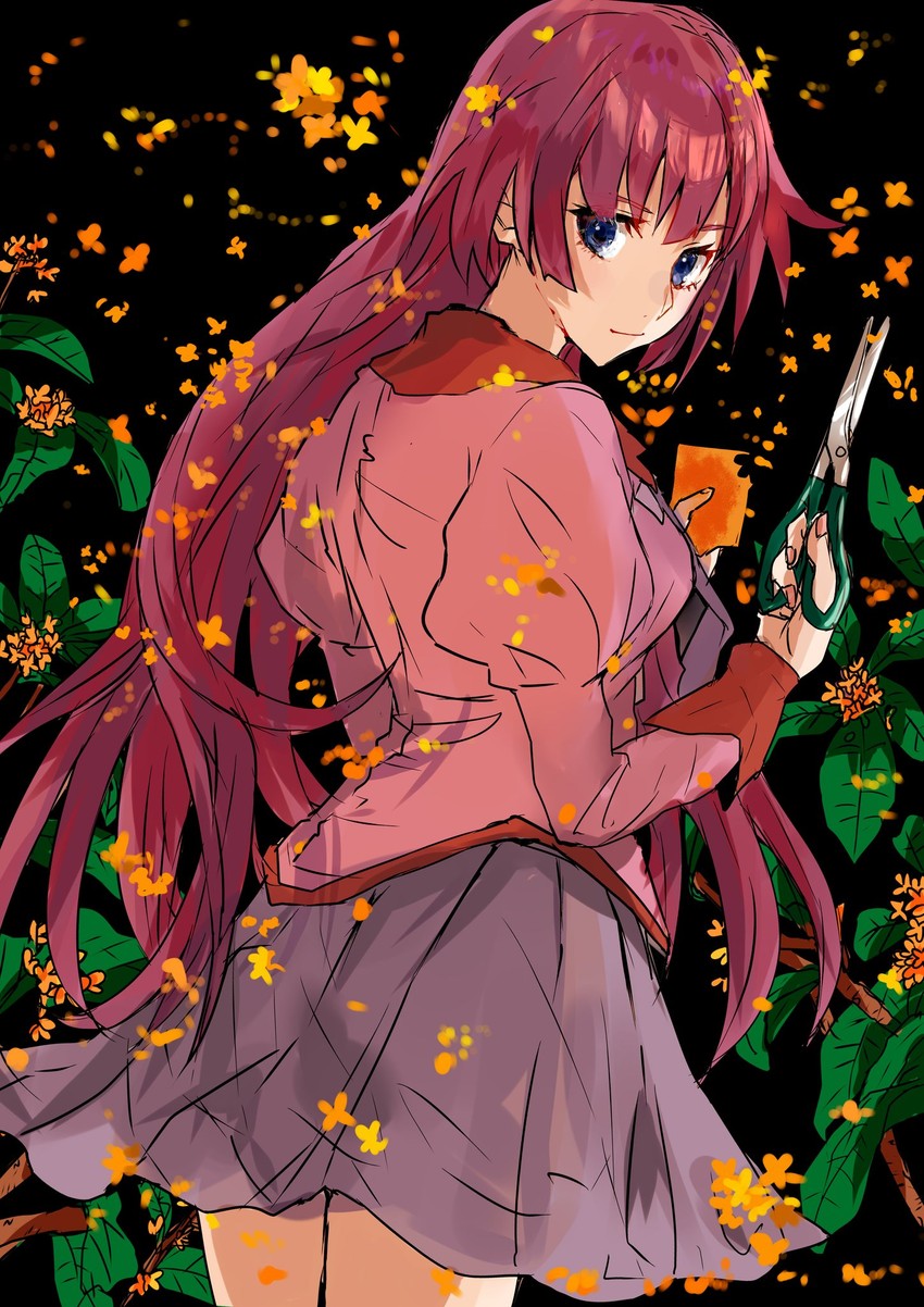 senjougahara hitagi (monogatari and 1 more) drawn by valhalla0707