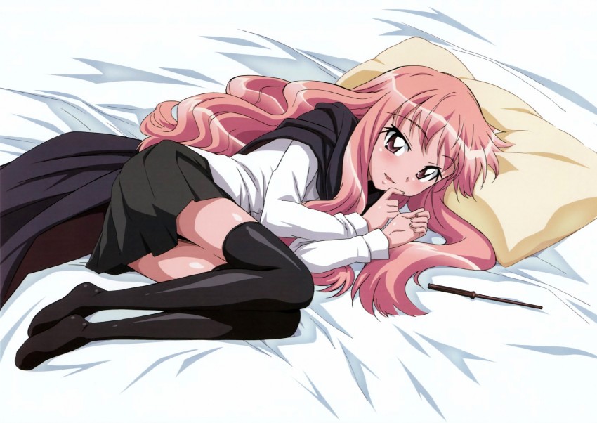 louise francoise le blanc de la valliere (zero no tsukaima) drawn by fujii_masahiro