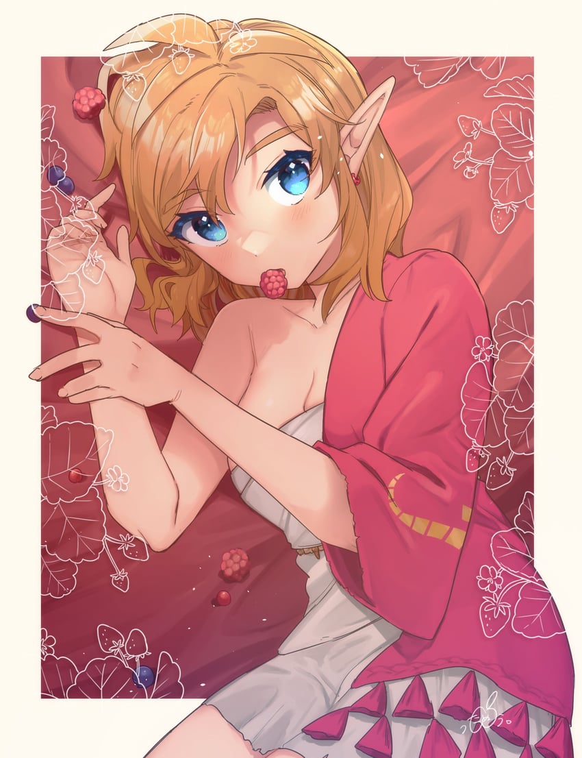link (the legend of zelda and 1 more) drawn by ttanuu.