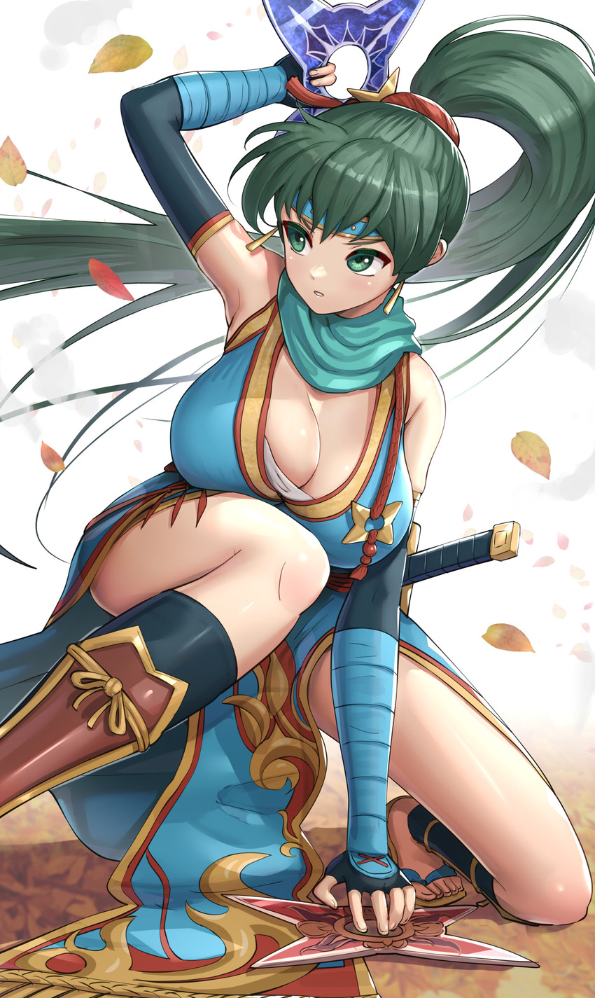 lyn (fire emblem and 2 more) drawn by gonzarez