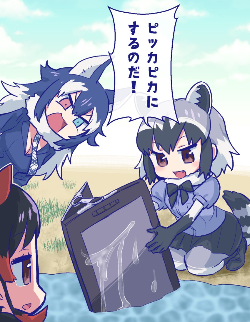 common raccoon, grey wolf, and hippopotamus (kemono friends) drawn by hori_(hori_no_su)