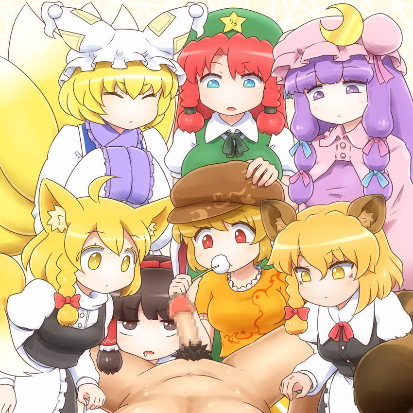 hakurei reimu, kirisame marisa, patchouli knowledge, hong meiling, yakumo ran, and 3 more (touhou) drawn by shirosato