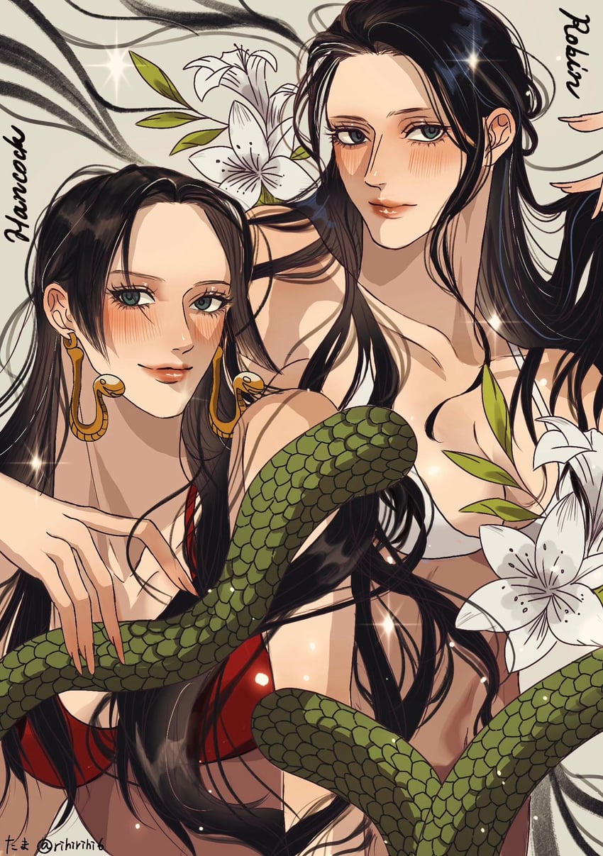 nico robin and boa hancock (one piece) drawn by rihirihi613