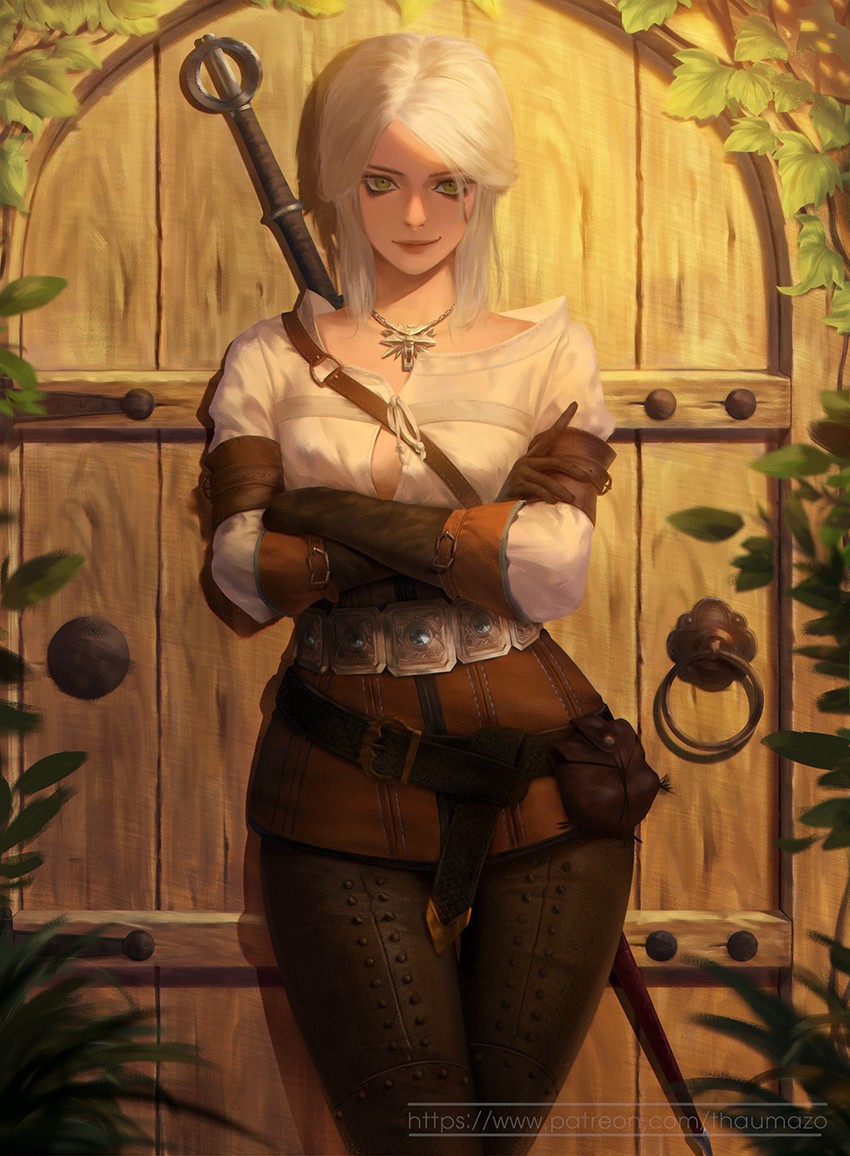 __ciri_the_witcher_and_1_more_drawn_by_t