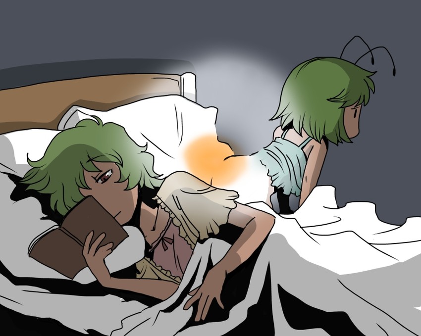 kazami yuuka and wriggle nightbug (touhou) drawn by onikobe_rin
