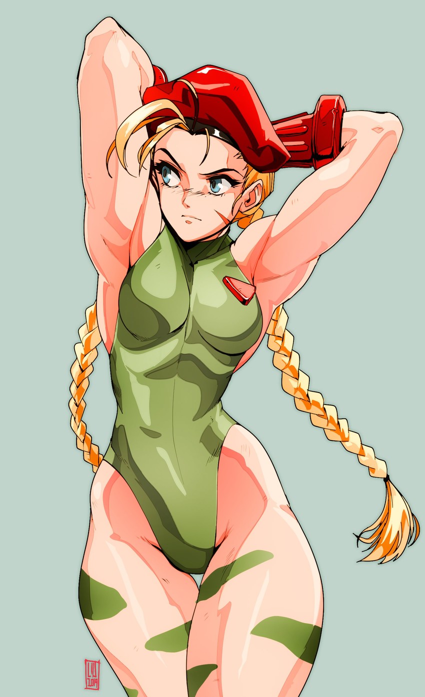 cammy white (street fighter and 1 more) drawn by david_liu