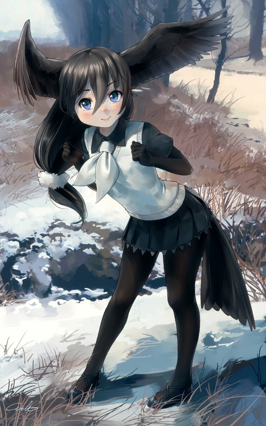pied crow (original and 1 more) drawn by welt_(kinsei_koutenkyoku)