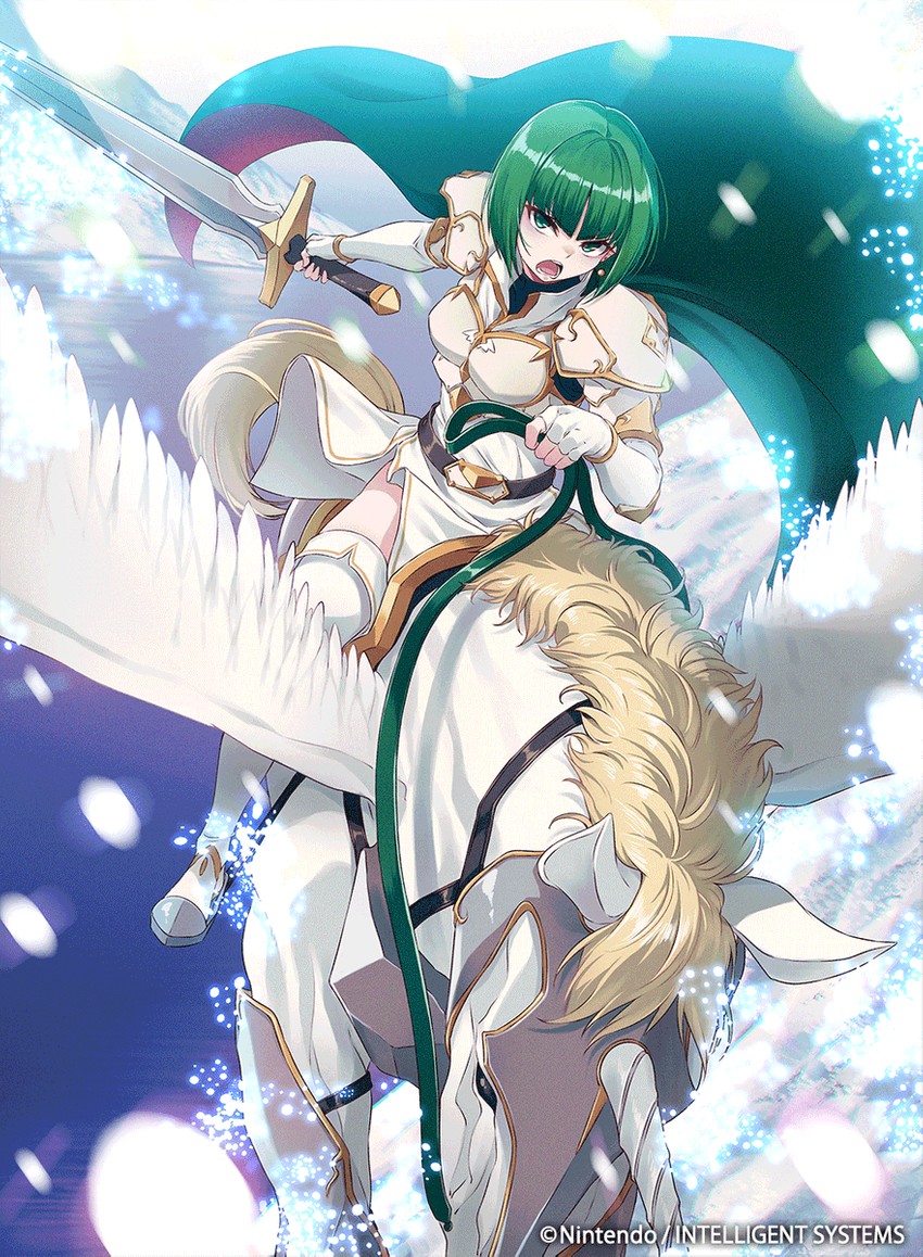 dithorba (fire emblem and 2 more) drawn by 40hara