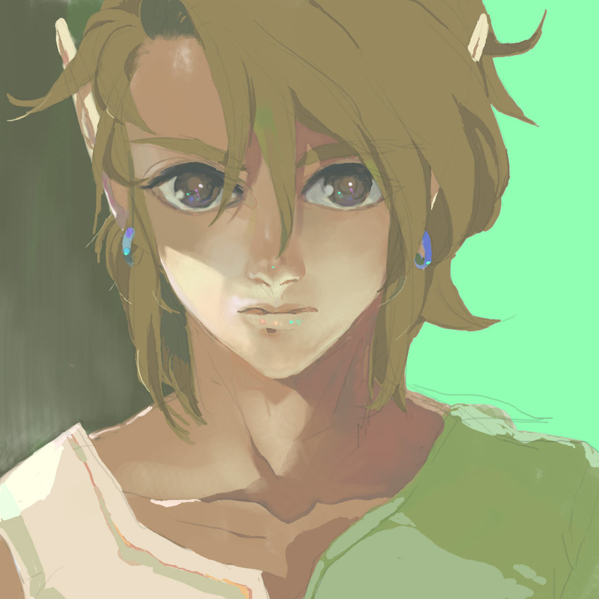 link (the legend of zelda and 1 more) drawn by ayana_(tannsann)