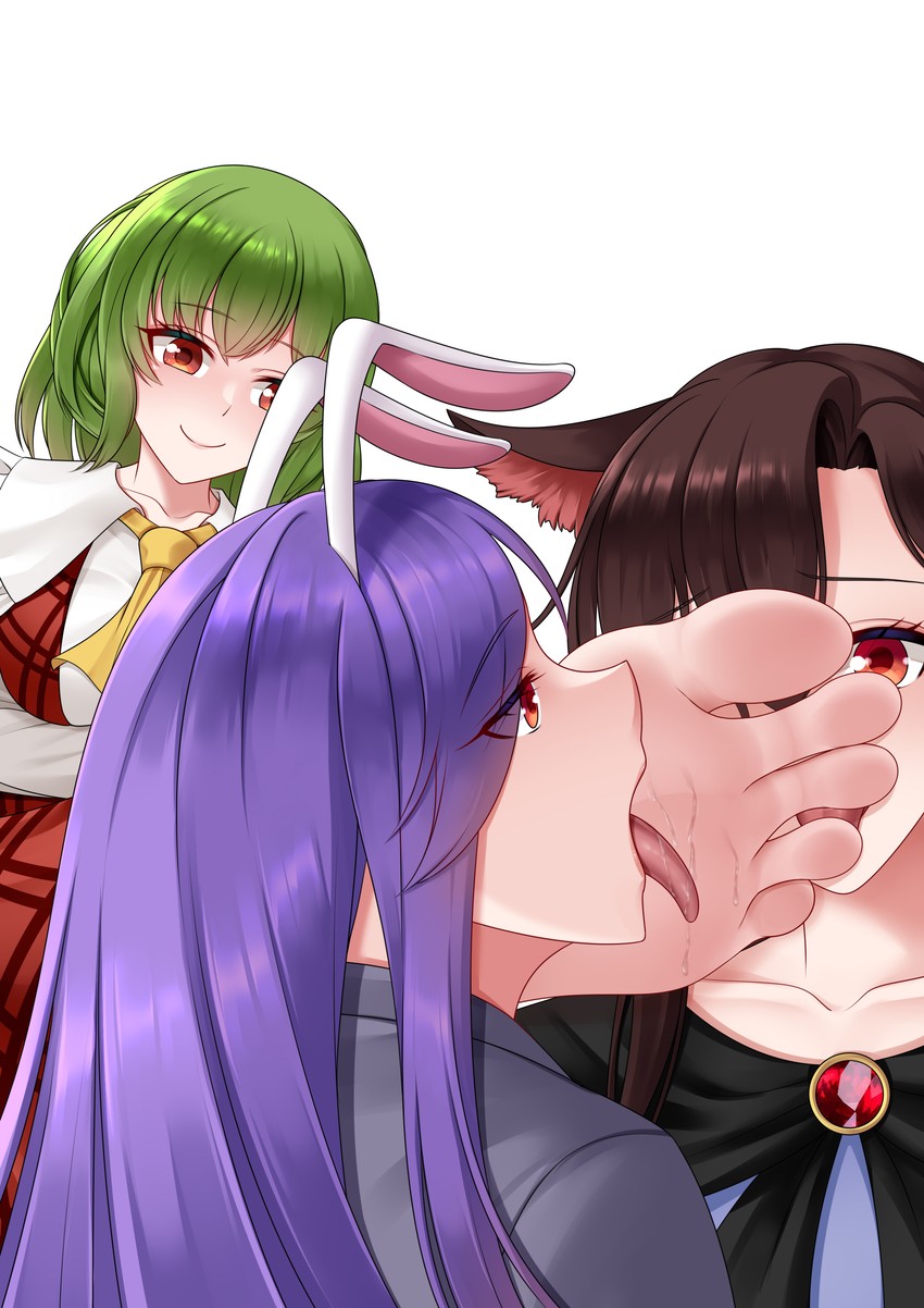 reisen udongein inaba, kazami yuuka, and imaizumi kagerou (touhou) drawn by oirin