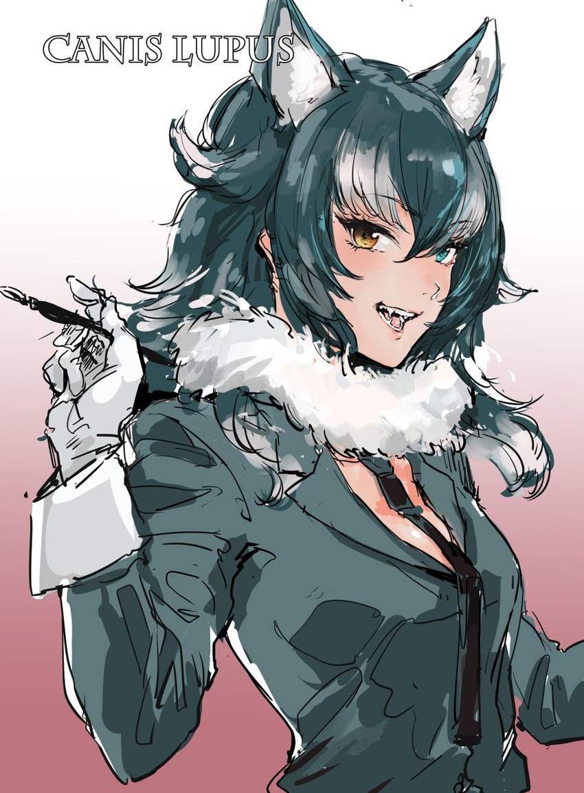 grey wolf (kemono friends) drawn by osakana_(denpa_yun'yun)
