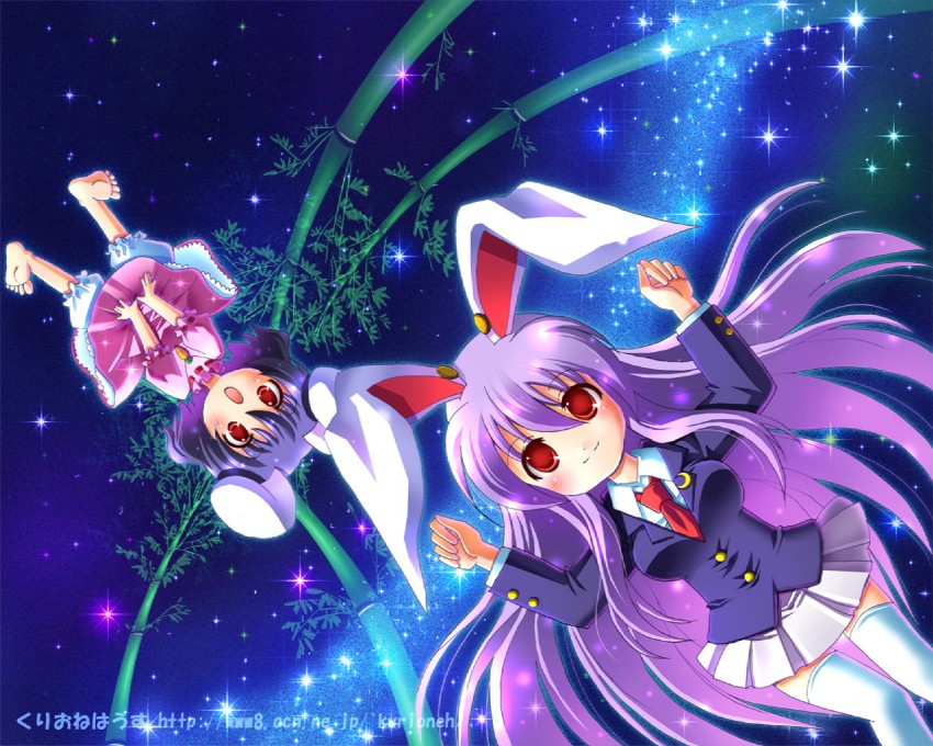 reisen udongein inaba and inaba tewi (touhou) drawn by fuzuki_imeri