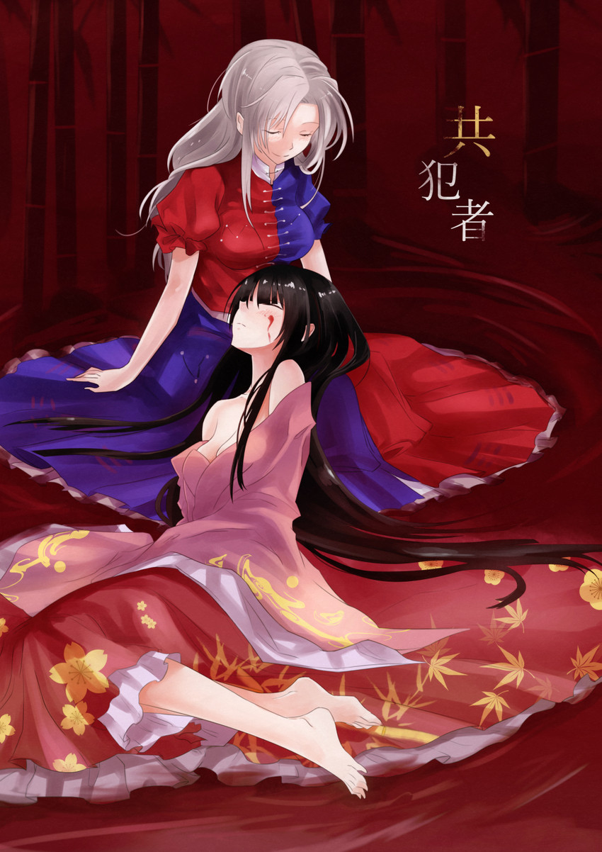 houraisan kaguya and yagokoro eirin (touhou) drawn by yan@