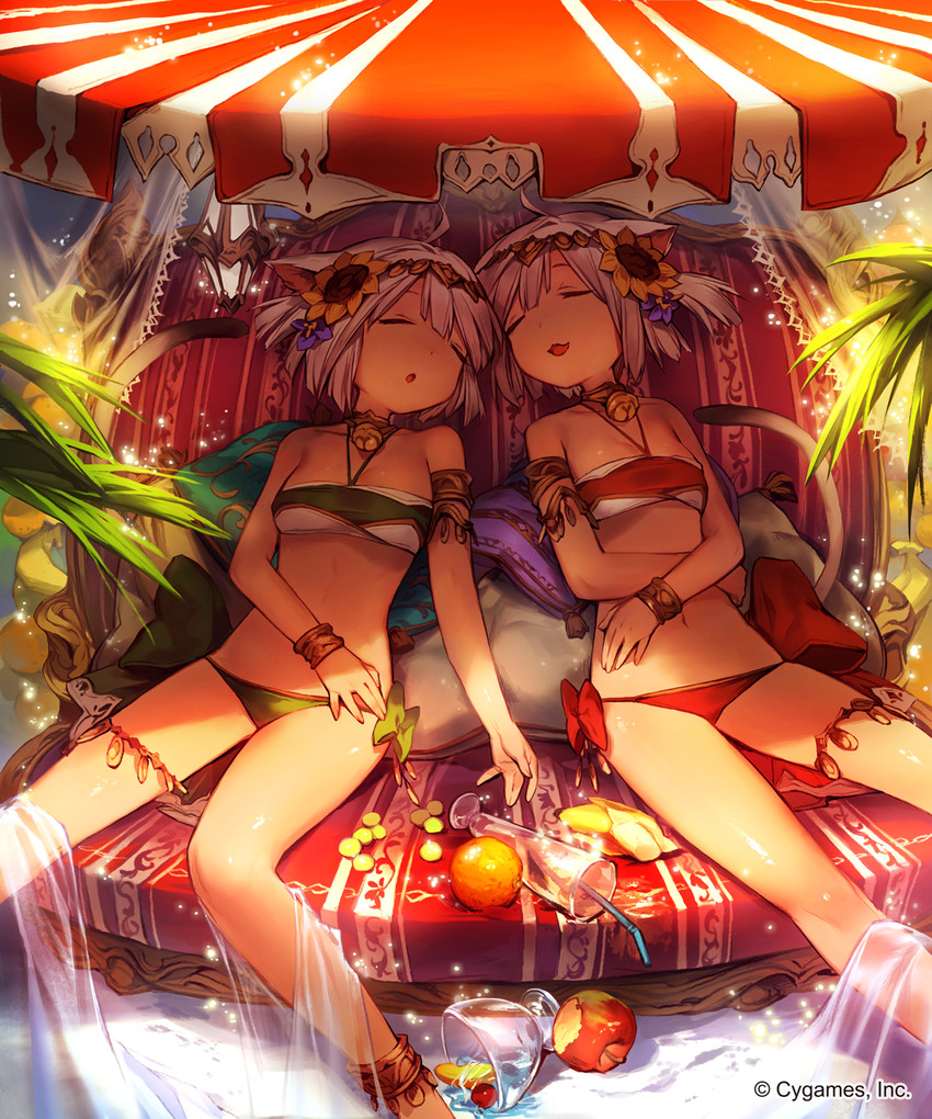 shamu and shama (shingeki no bahamut and 1 more) drawn by lee_hyeseung