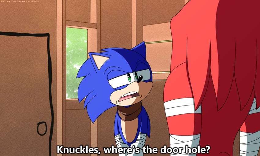 sonic the hedgehog and knuckles the echidna (sonic and 2 more) drawn by galaxy_cowboy