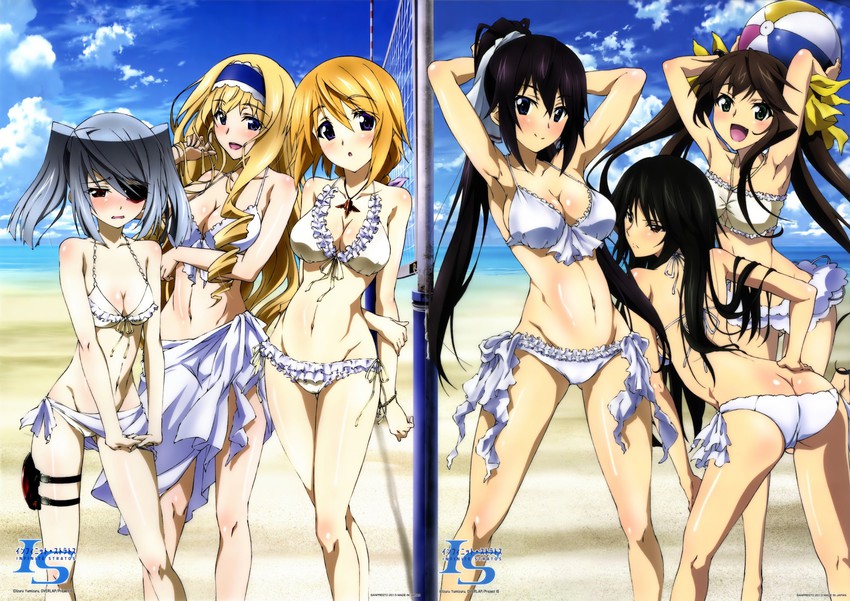 charlotte dunois, cecilia alcott, laura bodewig, shinonono houki, huang lingyin, and 1 more (infinite stratos)