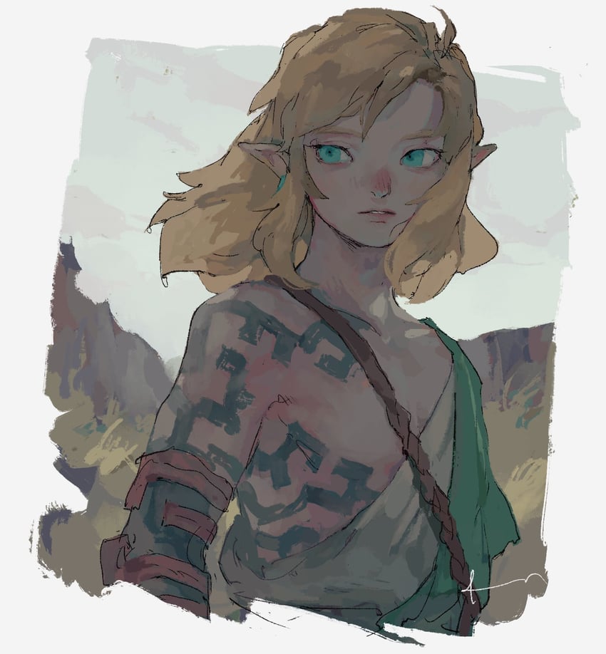 link (the legend of zelda and 1 more) drawn by dadadadadaist