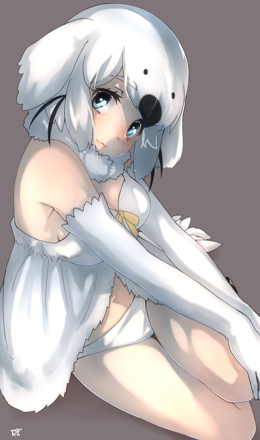 harp seal (kemono friends and 1 more) drawn by thin_(suzuneya)