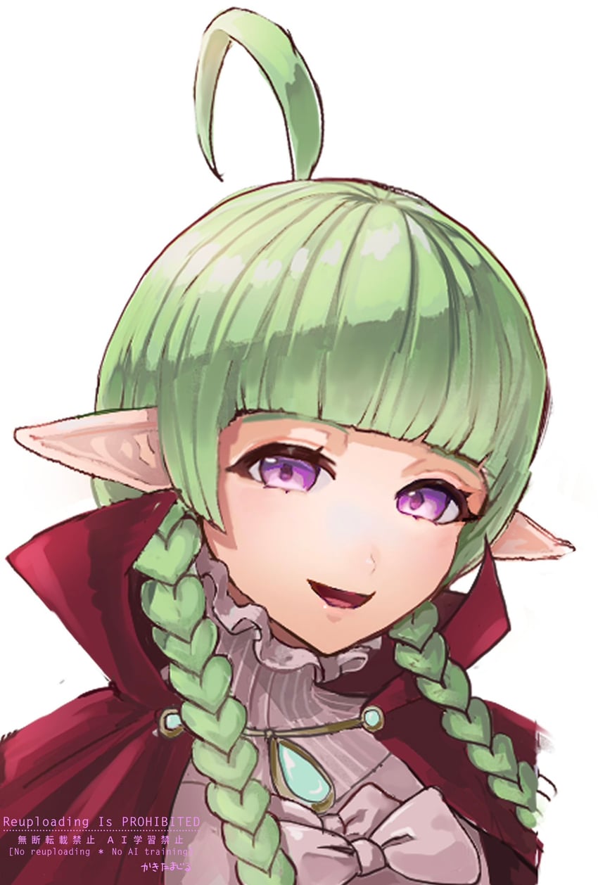 nah (fire emblem and 1 more) drawn by iipzeyjhms0dohl