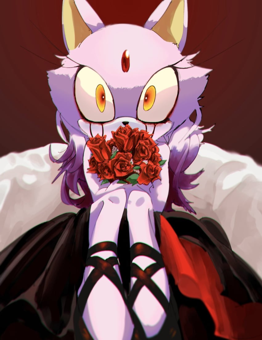 blaze the cat (sonic and 2 more) drawn by yamimatsu7