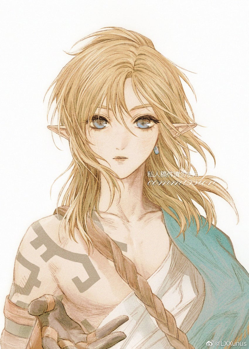 link (the legend of zelda and 1 more) drawn by ry1115275908