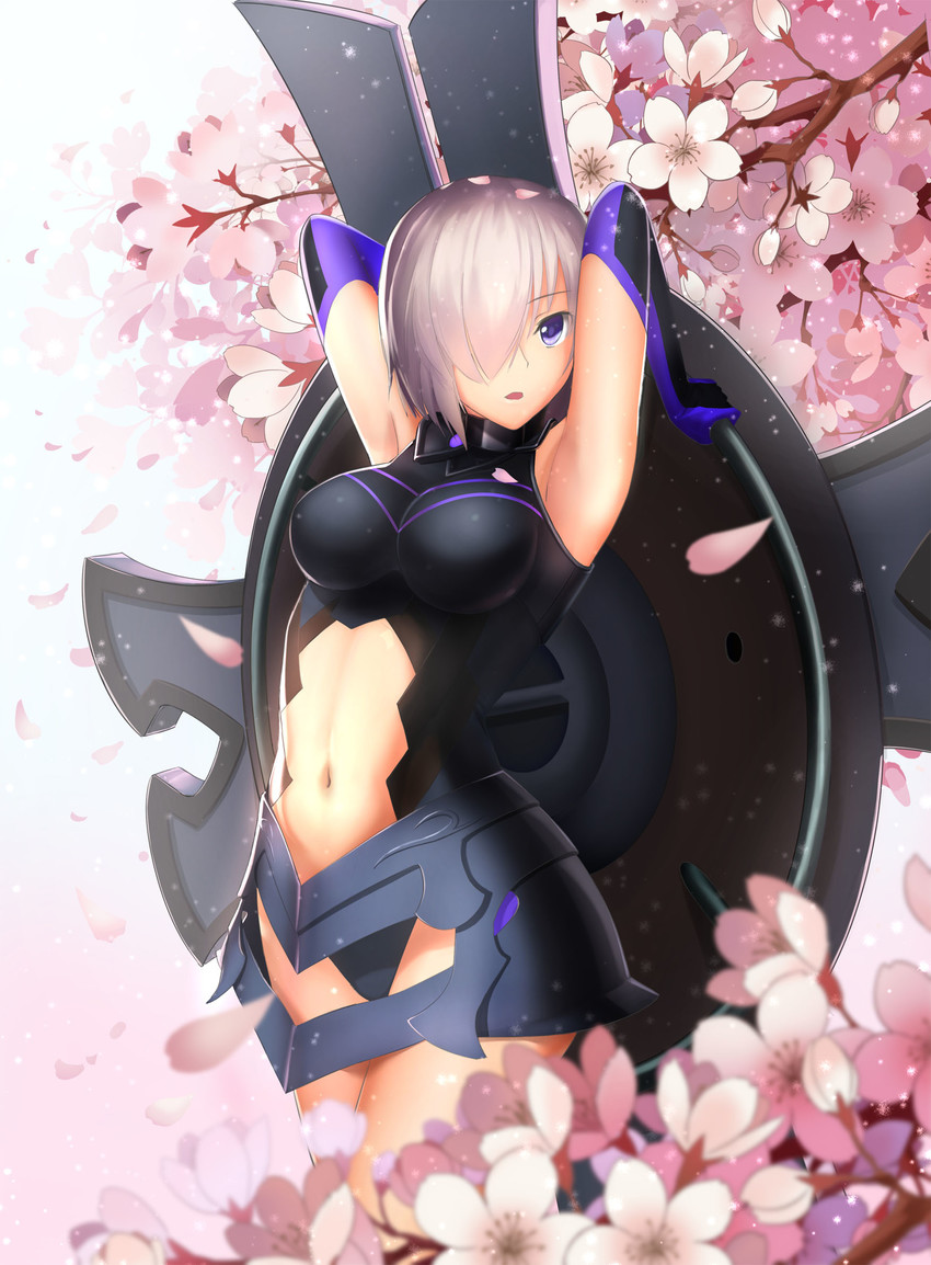 mash kyrielight (fate and 1 more) drawn by ccjn