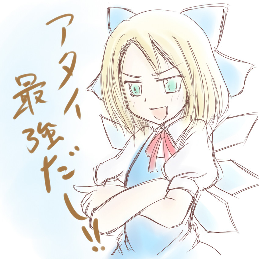 cirno and poland (touhou and 1 more) drawn by yamamoto_(kirisamemario)