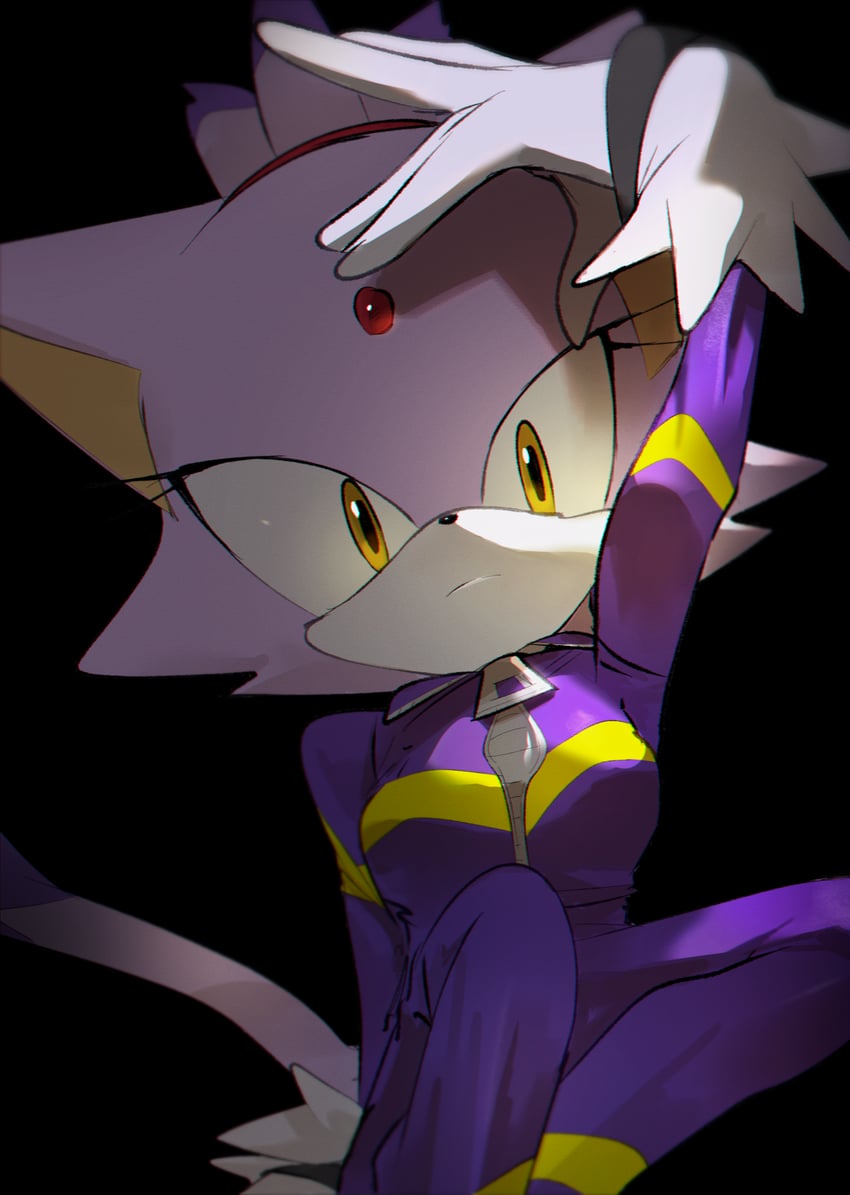 blaze the cat (sonic and 2 more) drawn by jaibus