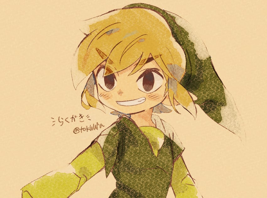 link and toon link (the legend of zelda and 3 more) drawn by tokuura