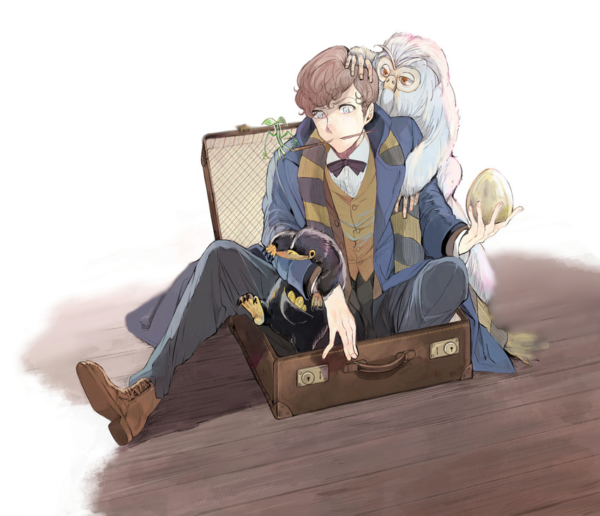 newt scamander, niffler, bowtruckle, and demiguise (wizarding world and 1 more) drawn by takeakigaku