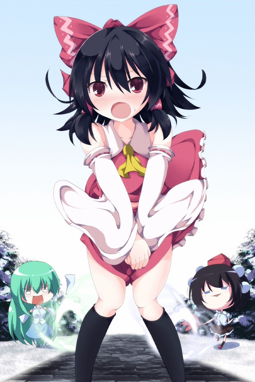 hakurei reimu, kochiya sanae, shameimaru aya, and kimeemaru (touhou) drawn by niyadepa