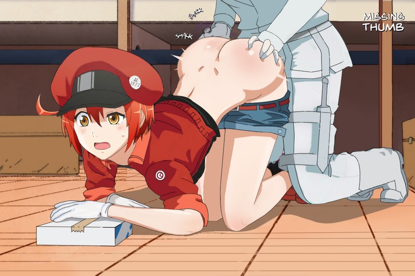 white blood cell, red blood cell, ae-3803, and u-1146 (hataraku saibou) drawn by missingthumb