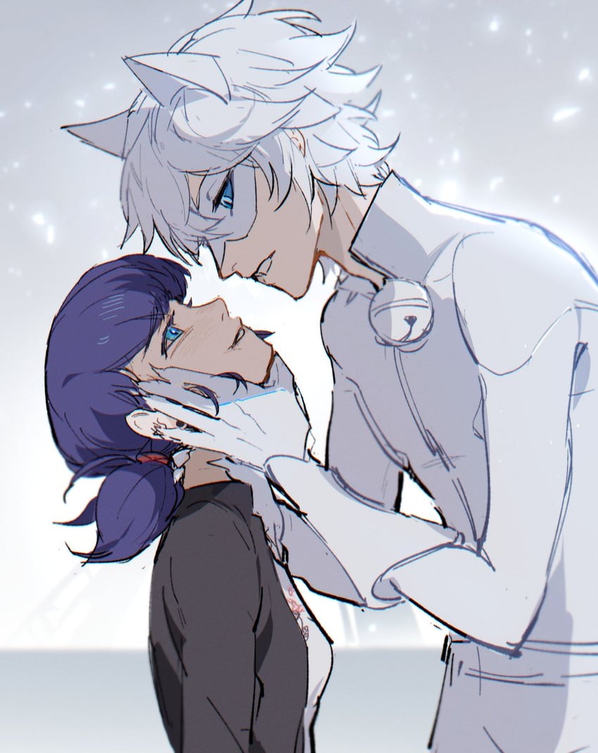 marinette dupain-cheng, adrien agreste, and chat blanc (miraculous ladybug) drawn by ddun_ddara