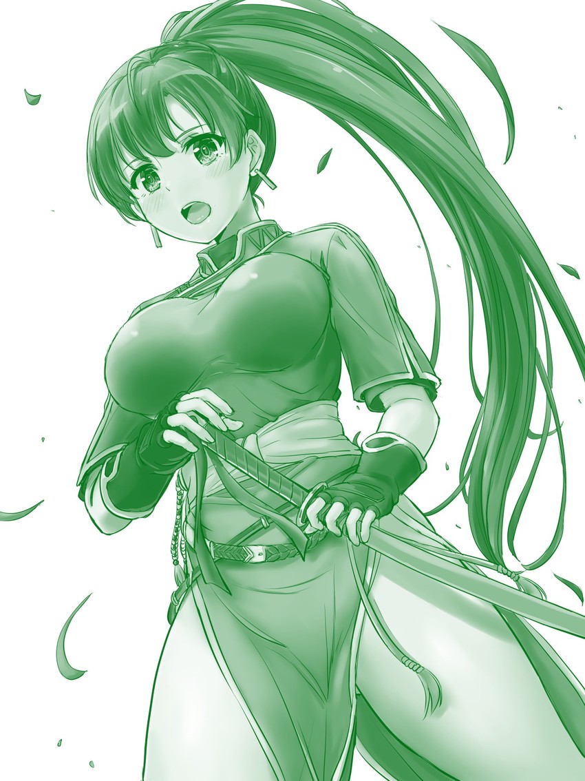 lyn (fire emblem and 2 more) drawn by inanaki_shiki