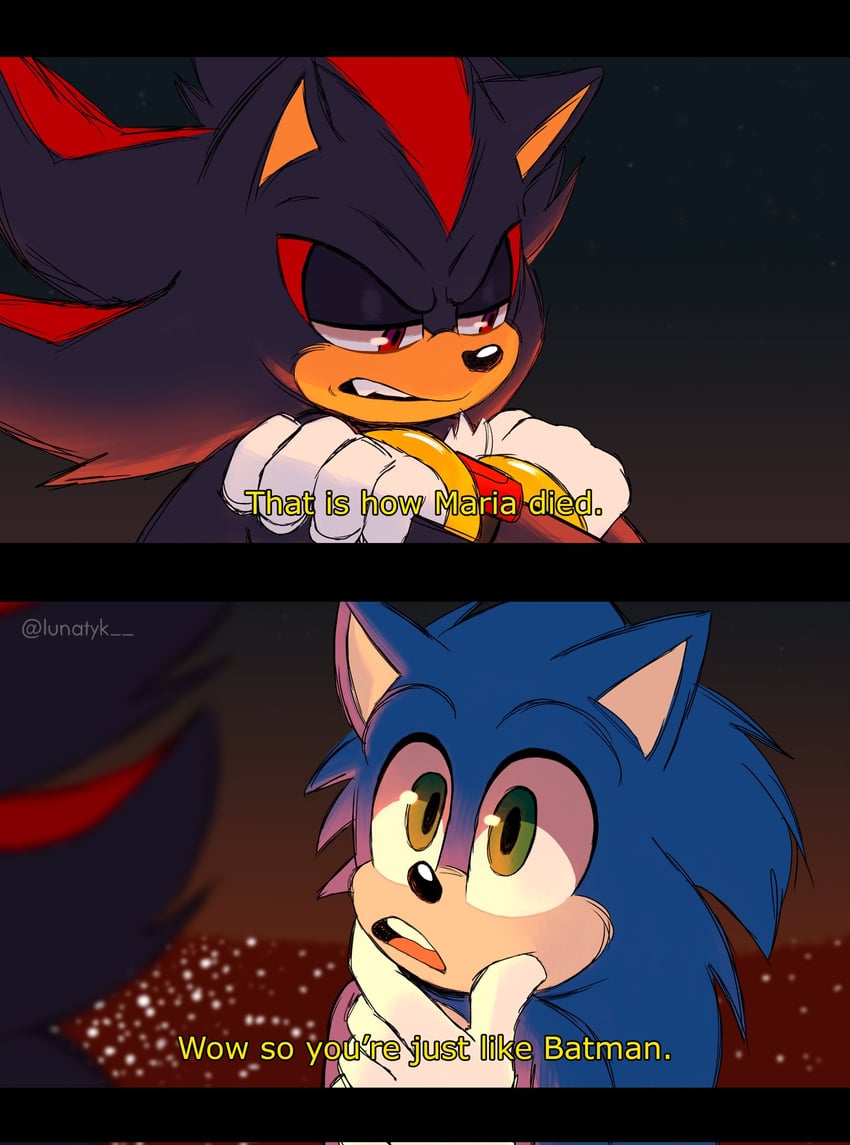 sonic the hedgehog and shadow the hedgehog (sonic and 1 more) drawn by lunatyk