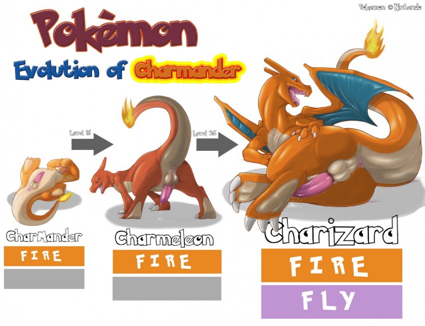 charizard, charmander, and charmeleon (pokemon) drawn by narse_(narsef)
