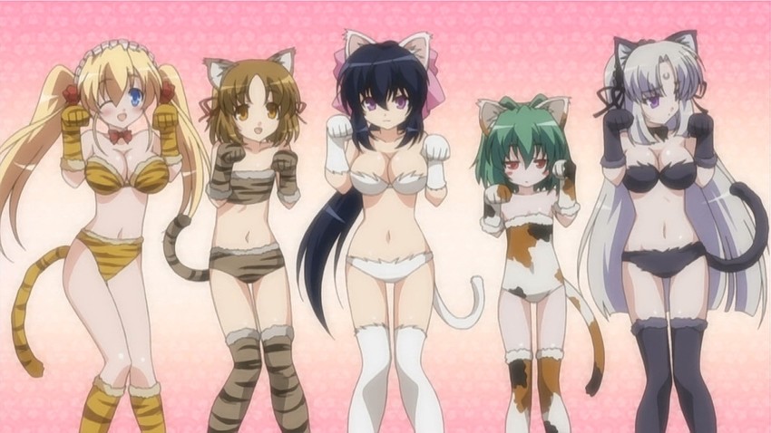 noihara himari, shizuku, jinguuji kuesu, lizlett l. chelsie, and kuzaki rinko (omamori himari)