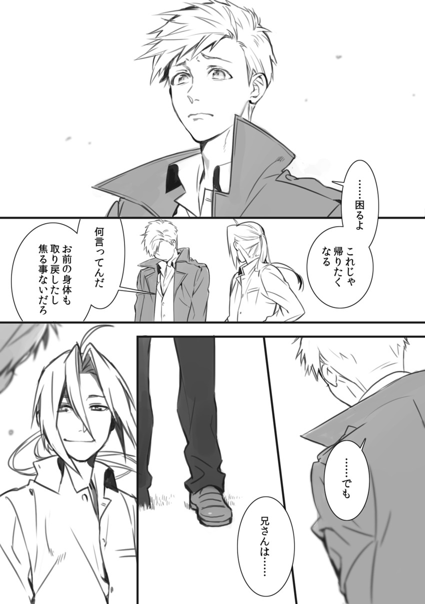 edward elric and alphonse elric (fullmetal alchemist) drawn by naoko_(naonocoto)