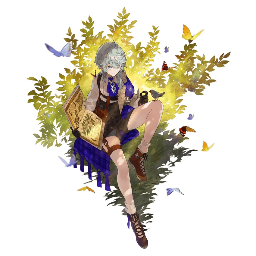 galahad (aster tatariqus) drawn by watarubou