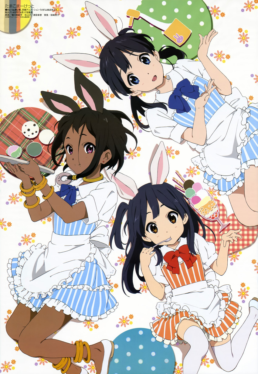 kitashirakawa tamako, kitashirakawa anko, and choi mochimazzui (megami magazine and 2 more) drawn by horiguchi_yukiko