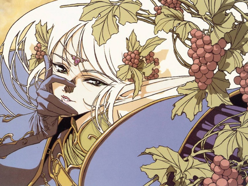 deedlit (record of lodoss war) drawn by izubuchi_yutaka