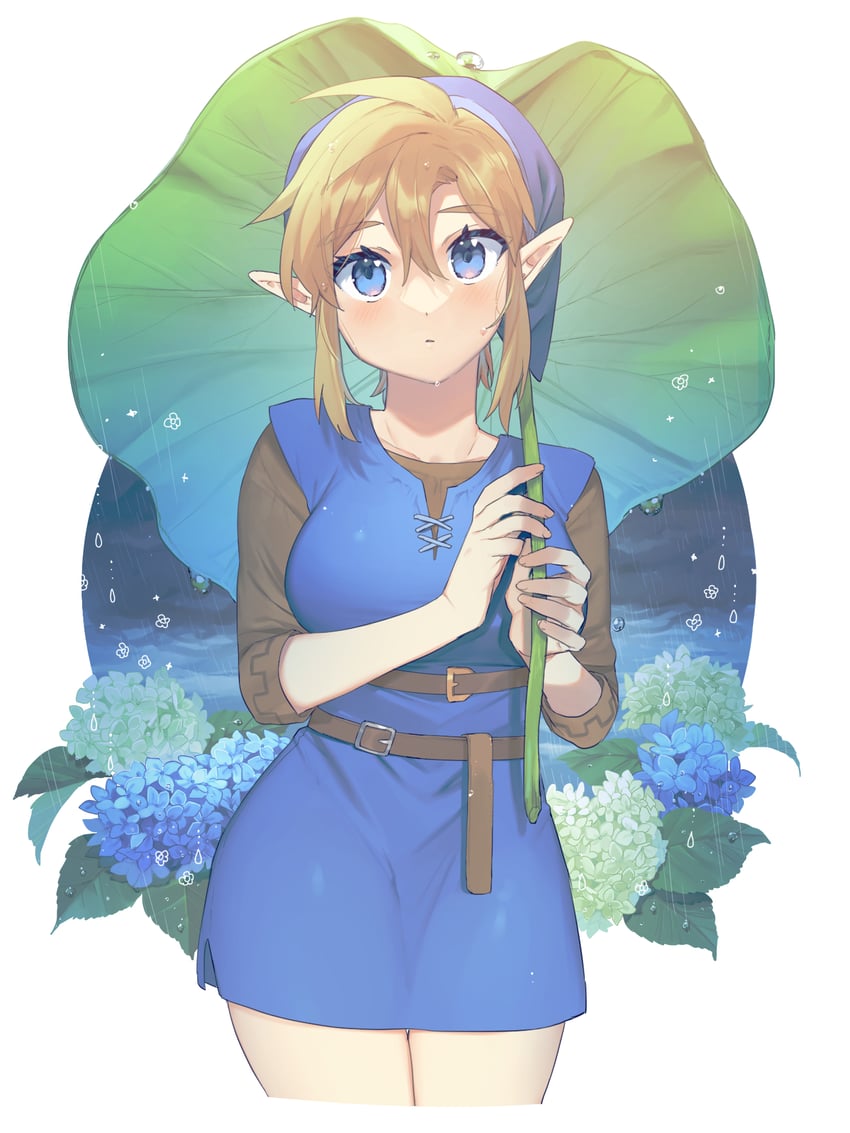 link (the legend of zelda and 1 more) drawn by ttanuu.