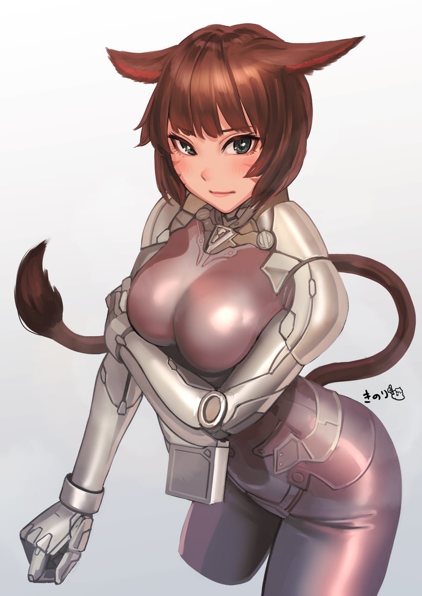 warrior of light (final fantasy and 1 more) drawn by kilye_kairi