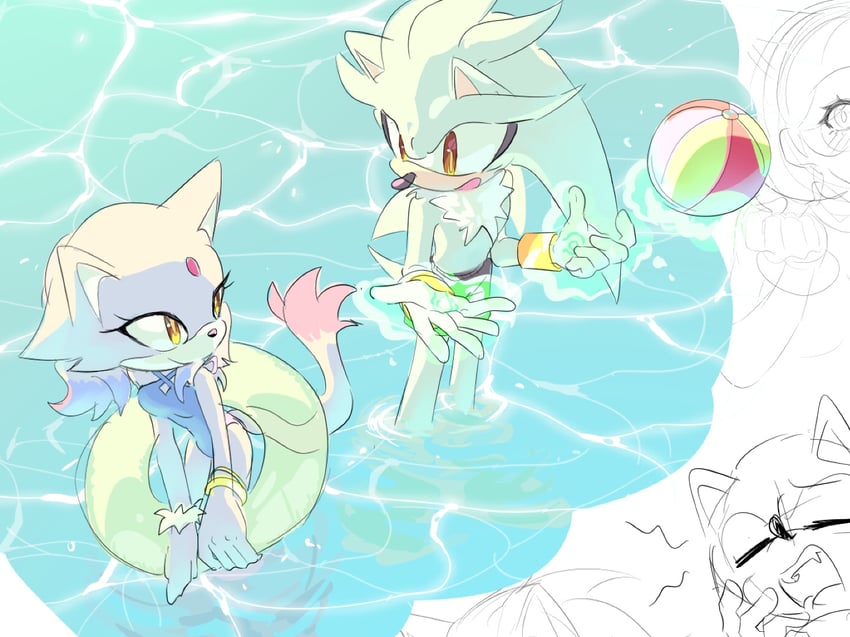 blaze the cat and silver the hedgehog (sonic) drawn by cookiecream_00