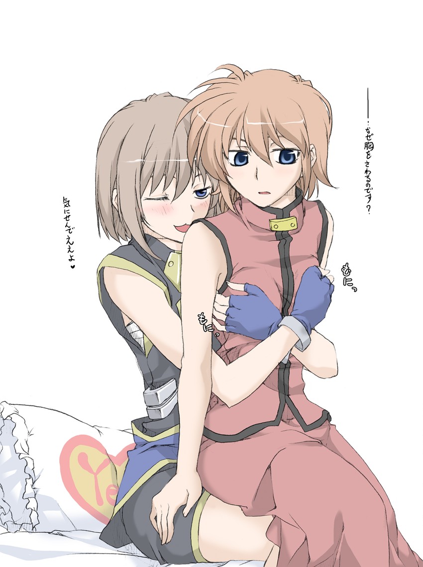 yagami hayate and stern the destructor (lyrical nanoha and 3 more) drawn by elf_(stroll_in_the_woods)