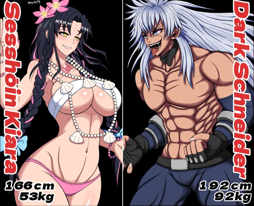 sessyoin kiara and dark schneider (fate and 2 more) drawn by wade99