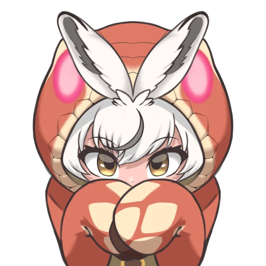 taipan and ezo mountain hare (kemono friends) drawn by universe_hululu