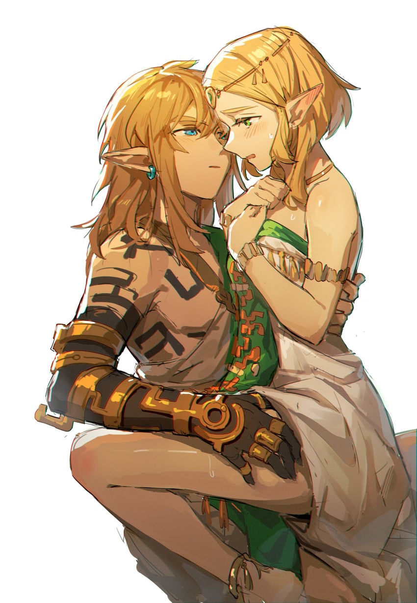 link and princess zelda (the legend of zelda and 1 more) drawn by wufaxianshi_cnd