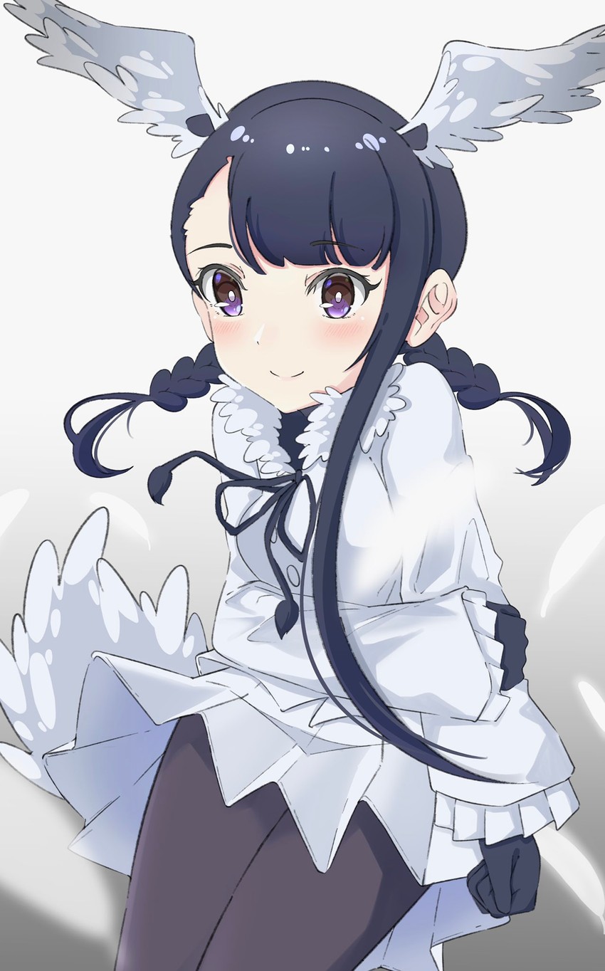 black-headed ibis (kemono friends) drawn by ikacho_(_ika_cho)
